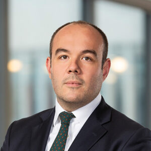 Martin del Gallego - Partner