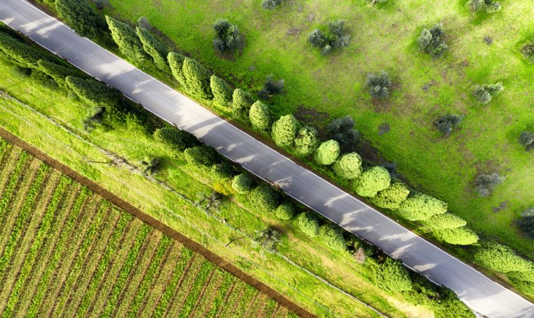 Expansion and growth of an agricultural producer and supplier through mergers and acquisitions - Case Study