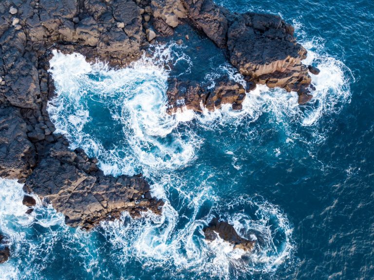 Goodwill, Bad Faith, and Blue Carbon: A Tale of Institutional Ownership in Deakin University v Macreadie - Insight