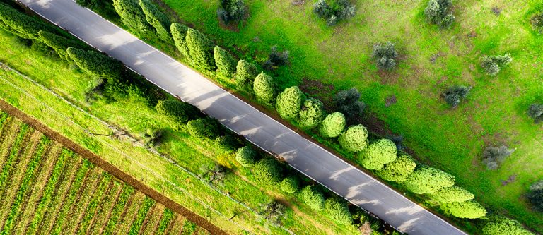 Acquisition of majority stake in horticultural company - Case Study