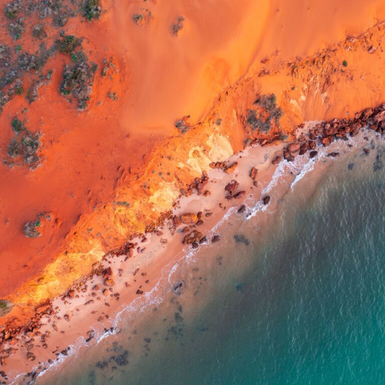 BRISBANE: Association of Corporate Counsel (QLD) and Piper Alderman | Judgement calls: The decisions, conversations and escalations that define in-house counsel - Event